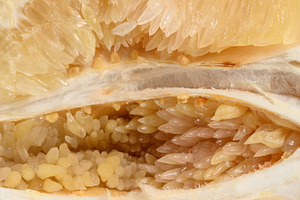 Detailed close-up of a fresh pomelo fruit, showing the juicy fl, a Food & Drink Photo by ndanko