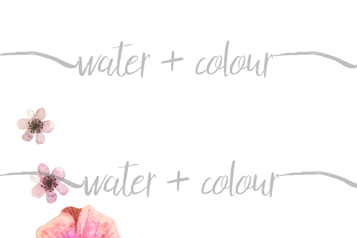 Trio Floral border watercolor, an Illustration by water + colour