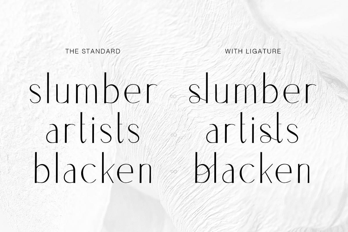 Vlasta Minimal Modern Sans Display, a Sans Serif Font by Cloverons (Photo 3 of 14)