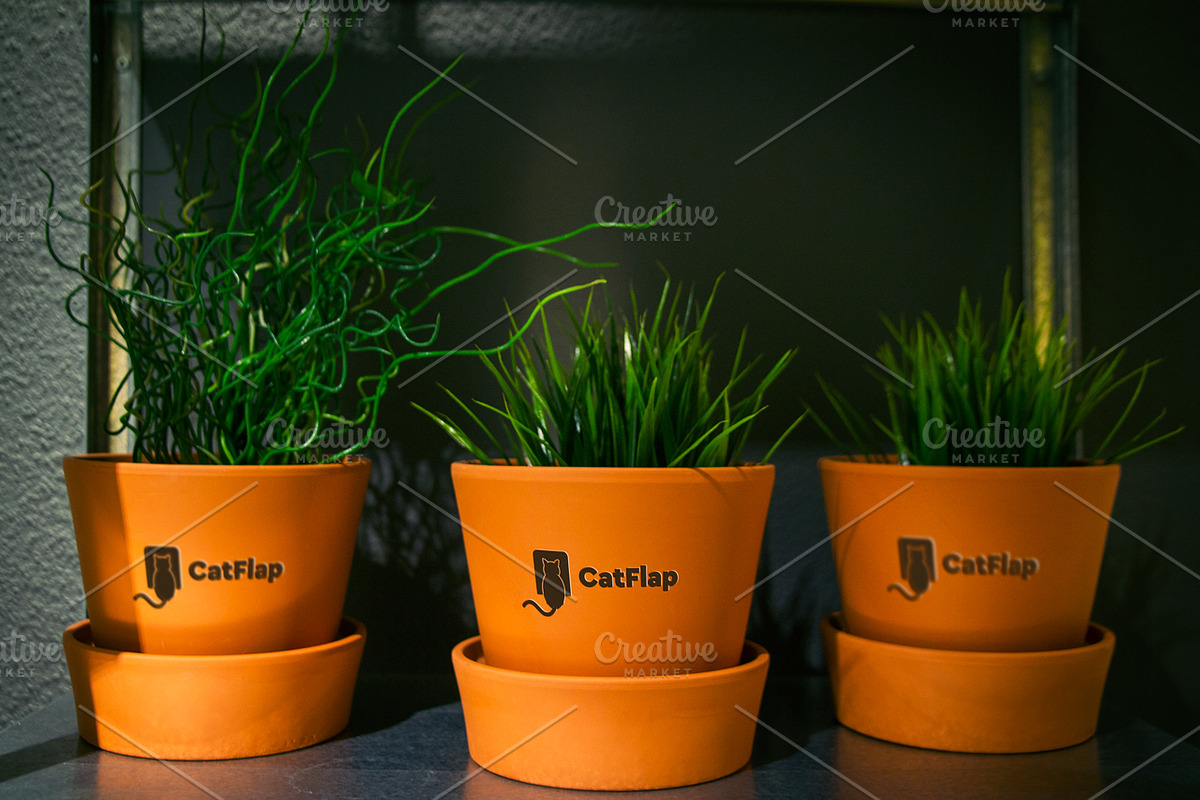 Flowerpot Mockup #3, a Mockup by Catflap