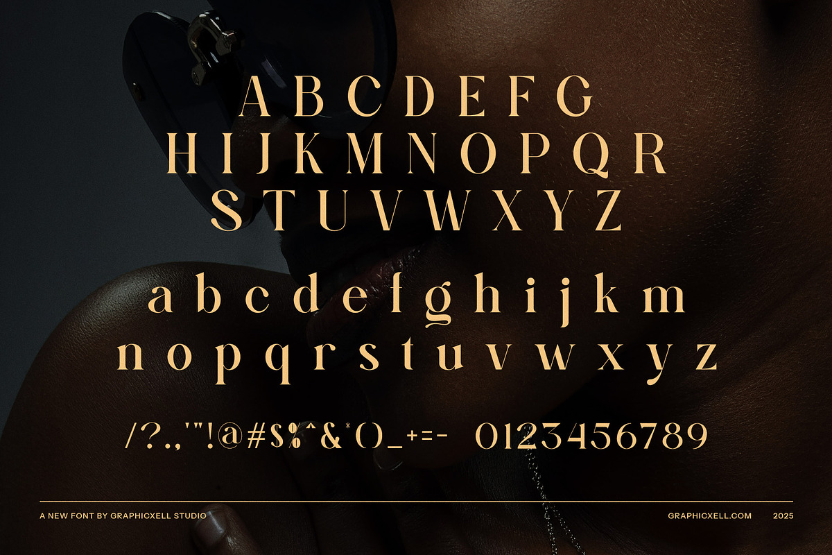Bager Newton Elegant Serif Font, a Serif Font by Graphicxell (Photo 8 of 8)