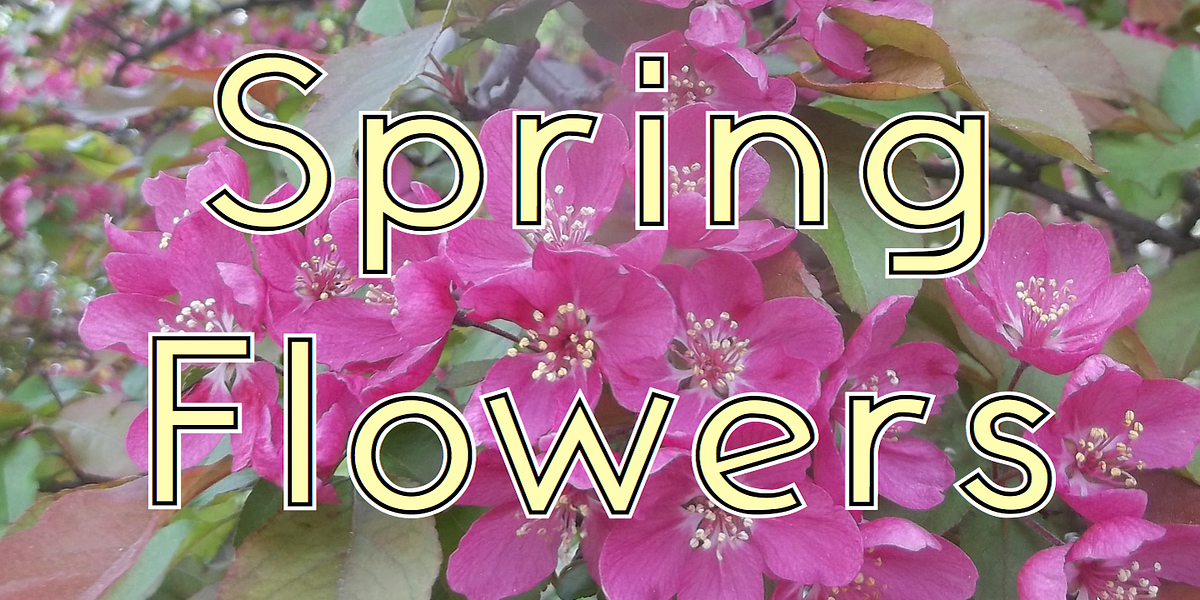 AndrewAndyCollege, a Sans Serif Font by Ingrimayne Type (Photo 4 of 5)
