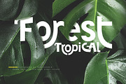 Shapesol Typeface, a Font by Tooris (Thumbnail 2 of 12)