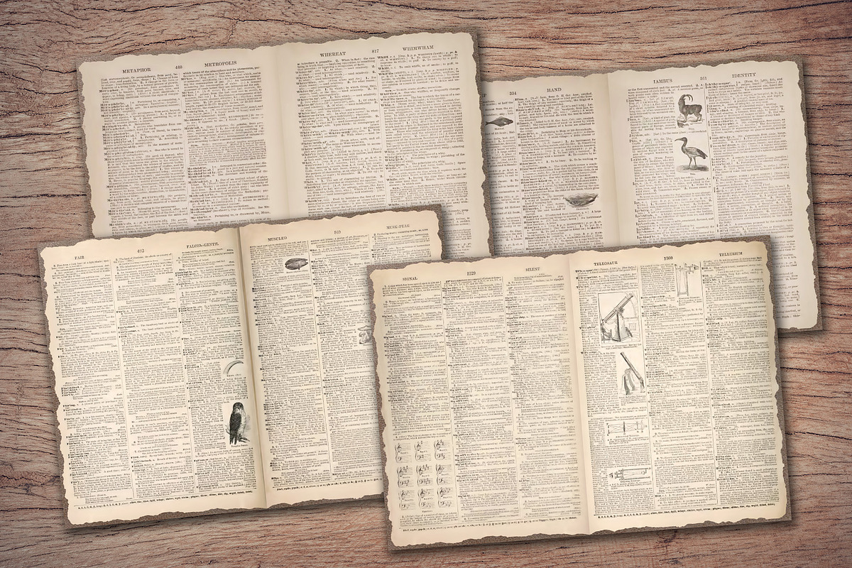 Old Dictionary Journal Pages