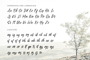Safilla - Handwritten Font, a Script Font by overlaytemplates (Thumbnail 4 of 5)
