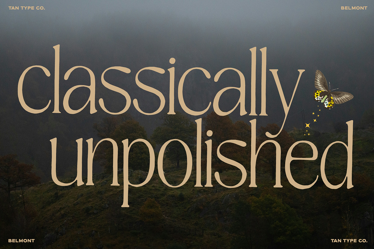 TAN-BELMONT-HANDWRITTEN SERIF, a Serif Font by TanType (Photo 8 of 10)