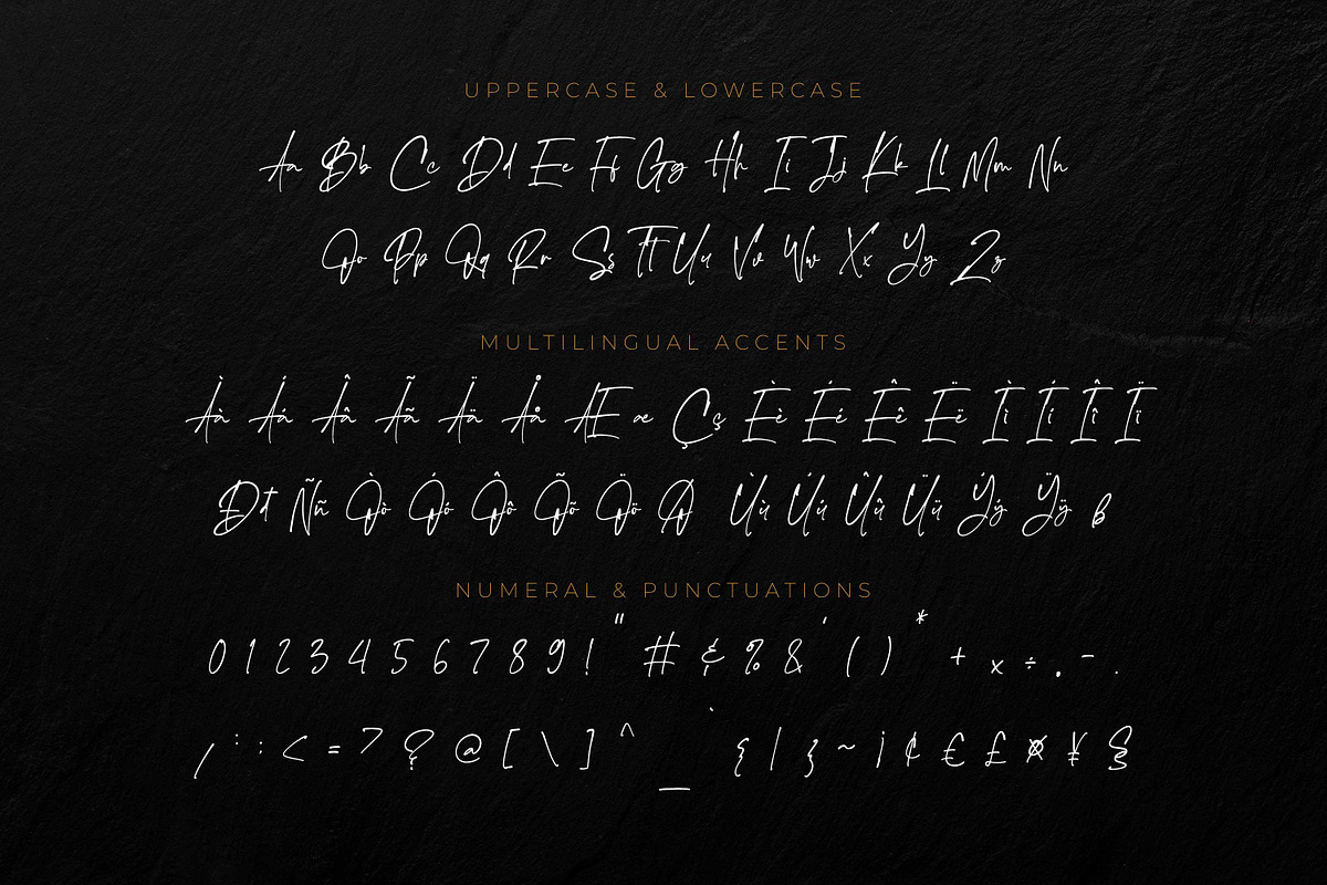 The handnature - Natural Signature, a Script Font by Almarkhatype (Photo 9 of 10)