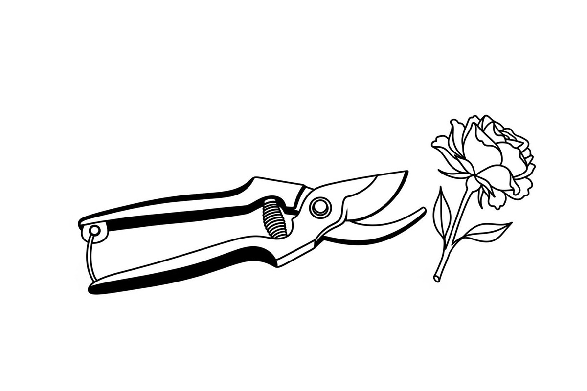 50 Professional Garden Shears Vector, an Illustration by hafijul (Photo 44 of 51)