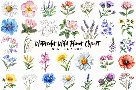 Watercolor Wild Flower Clipart, an Illustration by Libby Wishes