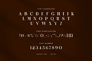 Subys Elegant Display Serif Font, a Serif Font by Graphicxell (Thumbnail 7 of 8)