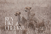 Kang Minter Elegant Serif Font, a Serif Font by Perfectype (Thumbnail 3 of 7)