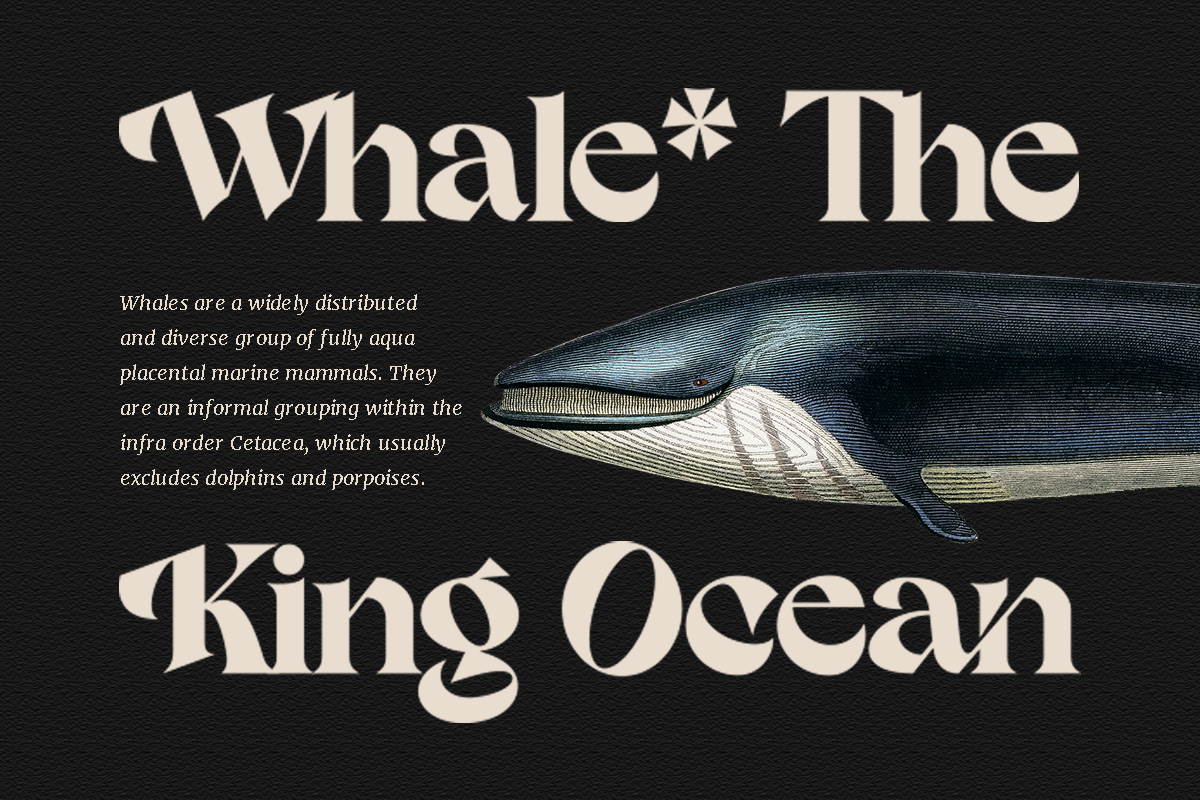 Nambya - Sharp Serif Typeface, a Serif Font by Dharmas Foundry (Photo 5 of 15)