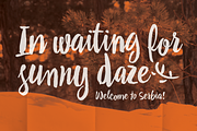 Drina, a Script Font by Posterizer KG (Thumbnail 4 of 5)