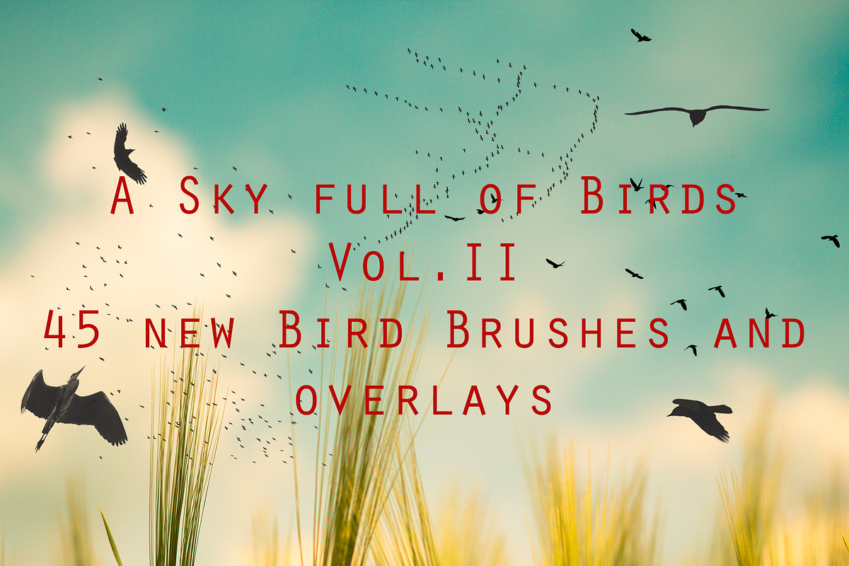 Bird Brushes and Overlays Vol II