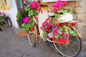 Bicycle with flowers parked on the s