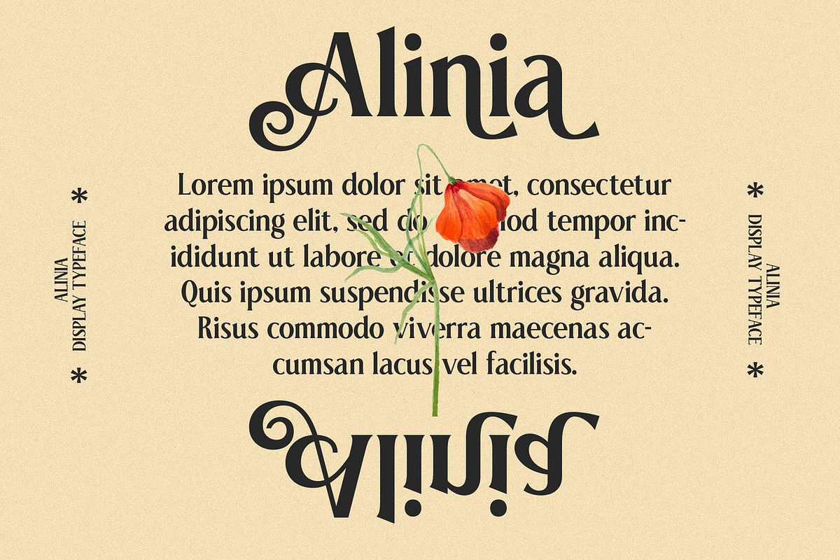 Elnaks Modern Serif Display, a Serif Font by Luna Shop (Photo 7 of 9)