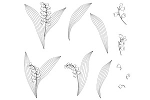 Iilies Of The Valley Flowers Vector