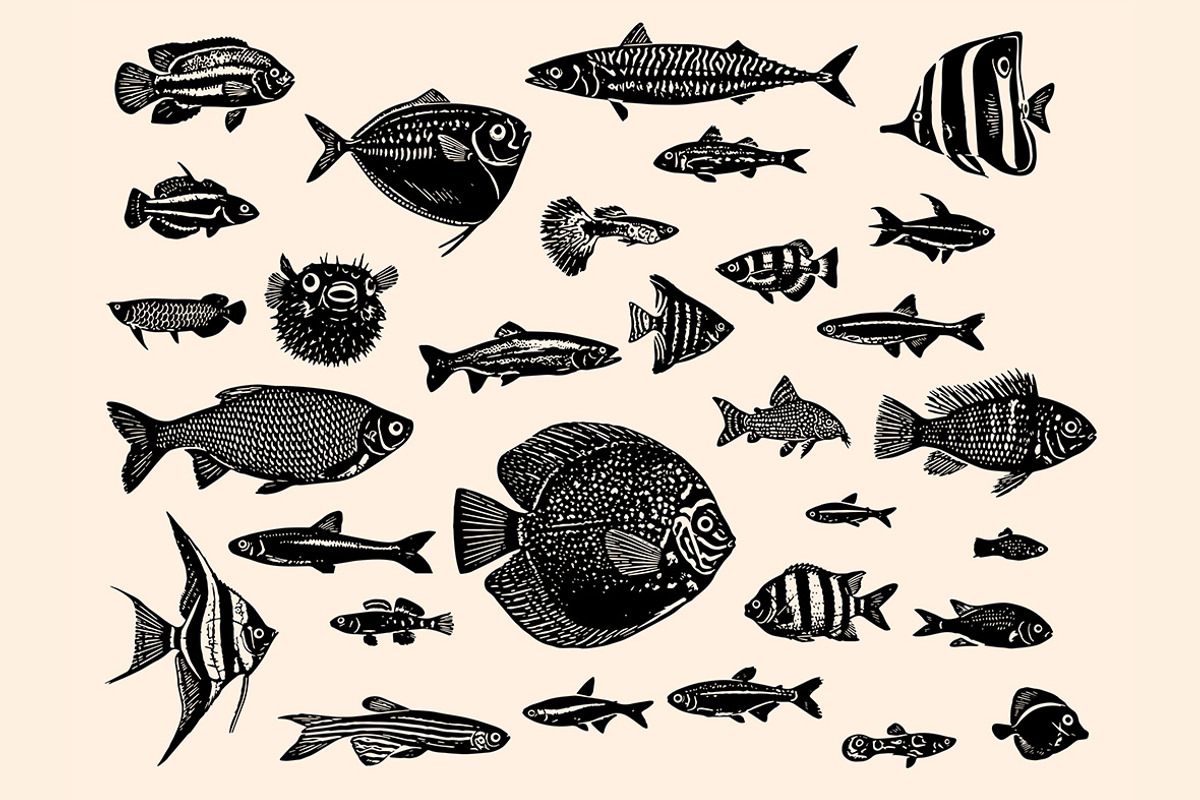Fish Linocut Bundle, an Animal Illustration by ClayStudio (Photo 2 of 8)