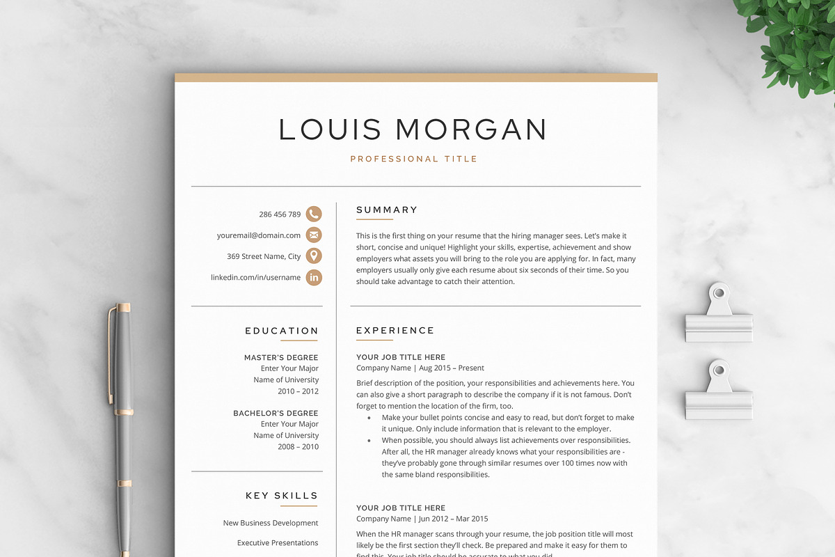 Resume/CV - The Louis, a Resume Template by CreativeLandStudio (Photo 3 of 10)