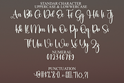 Bridesmaid, a Font by FreshTypeINK (Thumbnail 3 of 8)