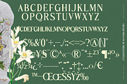 Benfica Royale Modern Serif Font, a Serif Font by timelesstype.co (Thumbnail 18 of 20)