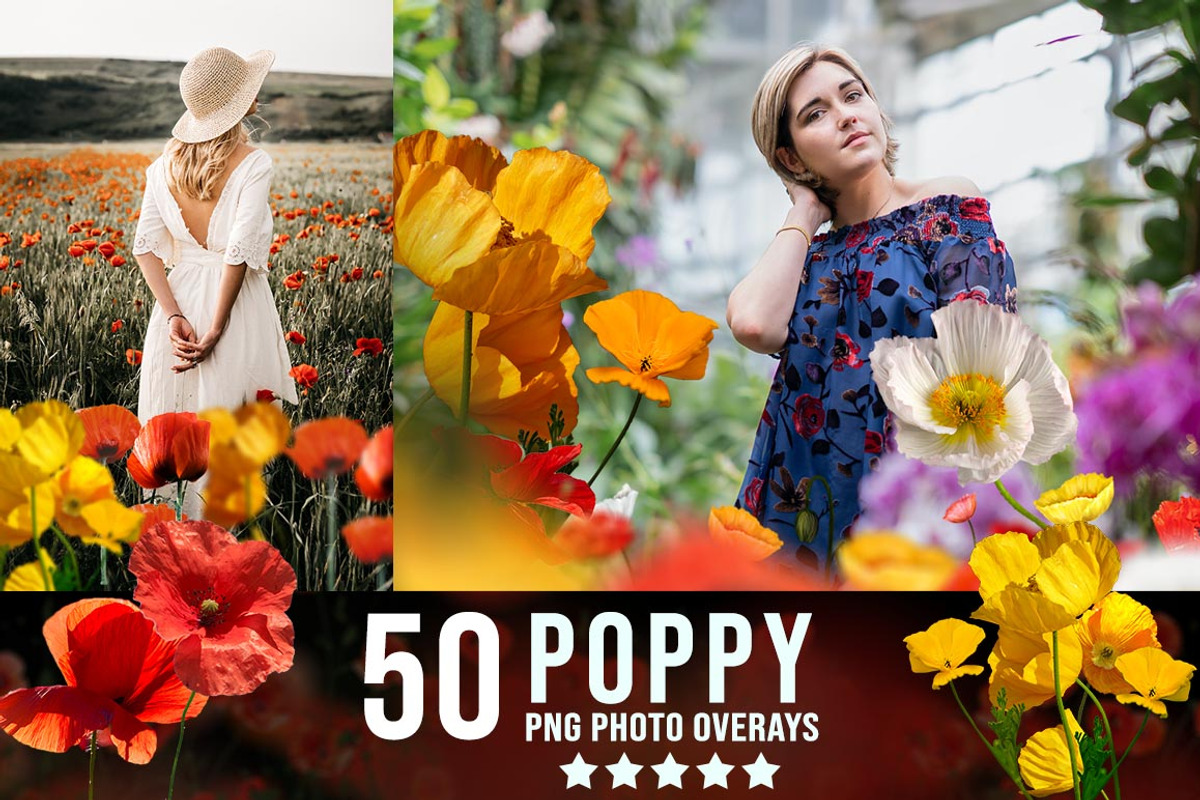 3300+ Photo Overlays Bundle+FREE Act, an Action Add-On by Jacpot007 (Photo 16 of 54)