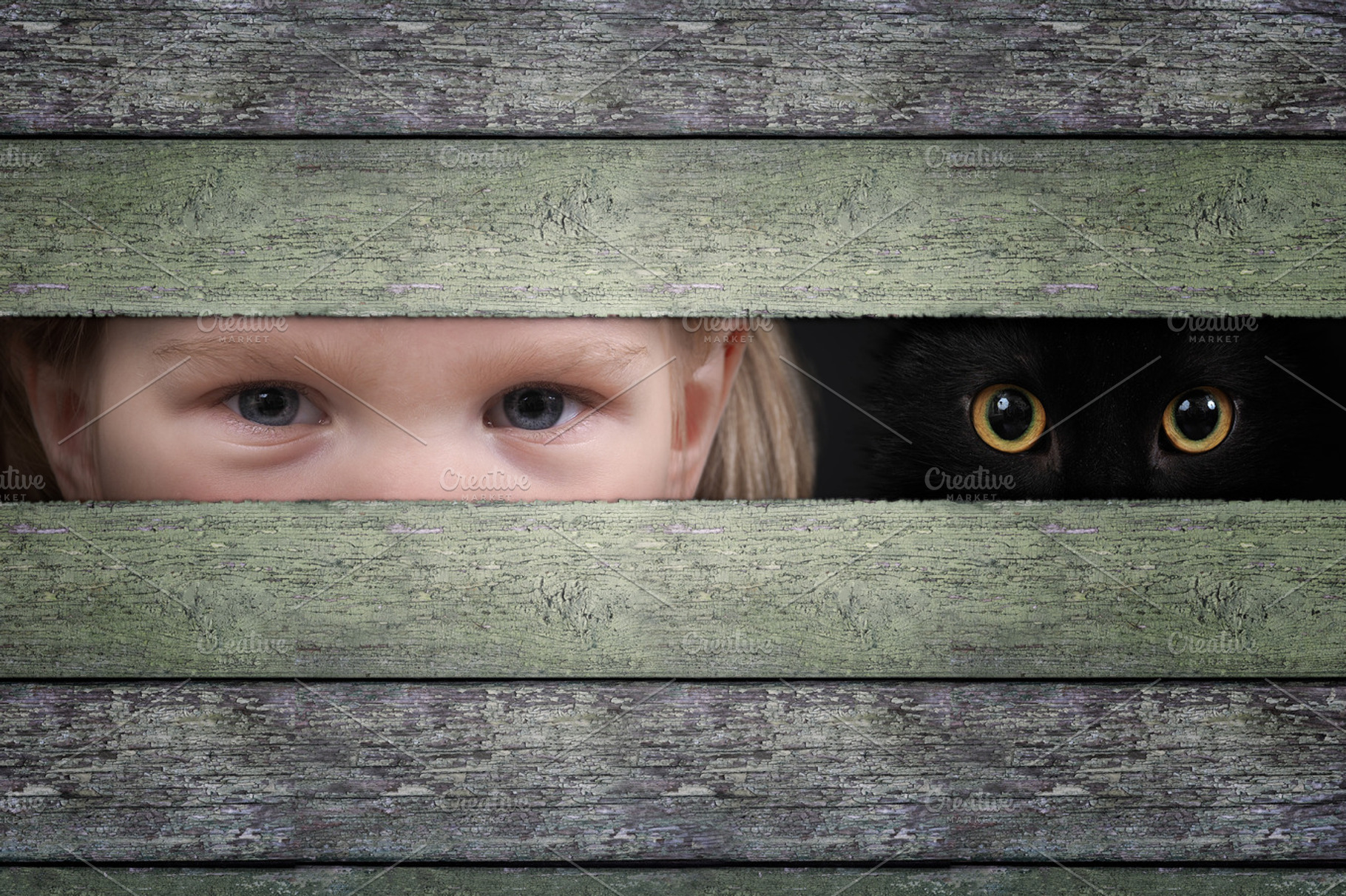 The eyes of a child and cat watching through the crack in the wooden fence, a Person Photo by Kozorog