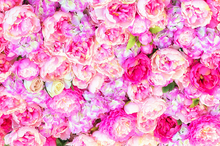Beautiful background of artificial pink peonies wedding festive decoration