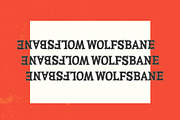 WOLFSBANE, a Serif Font by Midnight Grim (Thumbnail 6 of 6)