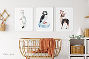 Arctic&Antarctic animals, an Animal Illustration by Kate_Rina (Thumbnail 3 of 4)
