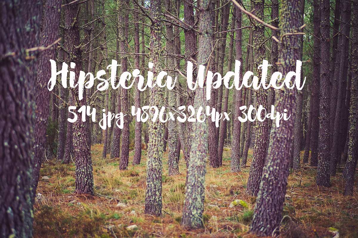 Hipsteria photo pack, a Templates & Theme by ApertureVintage (Photo 43 of 48)