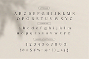 Nagishe Soinetha Moderen & Elegance, a Serif Font by BOOSH Studio (Thumbnail 9 of 13)