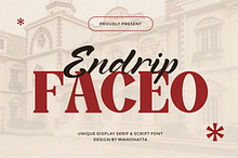 Endrip Faceo - Font Duo Typeface