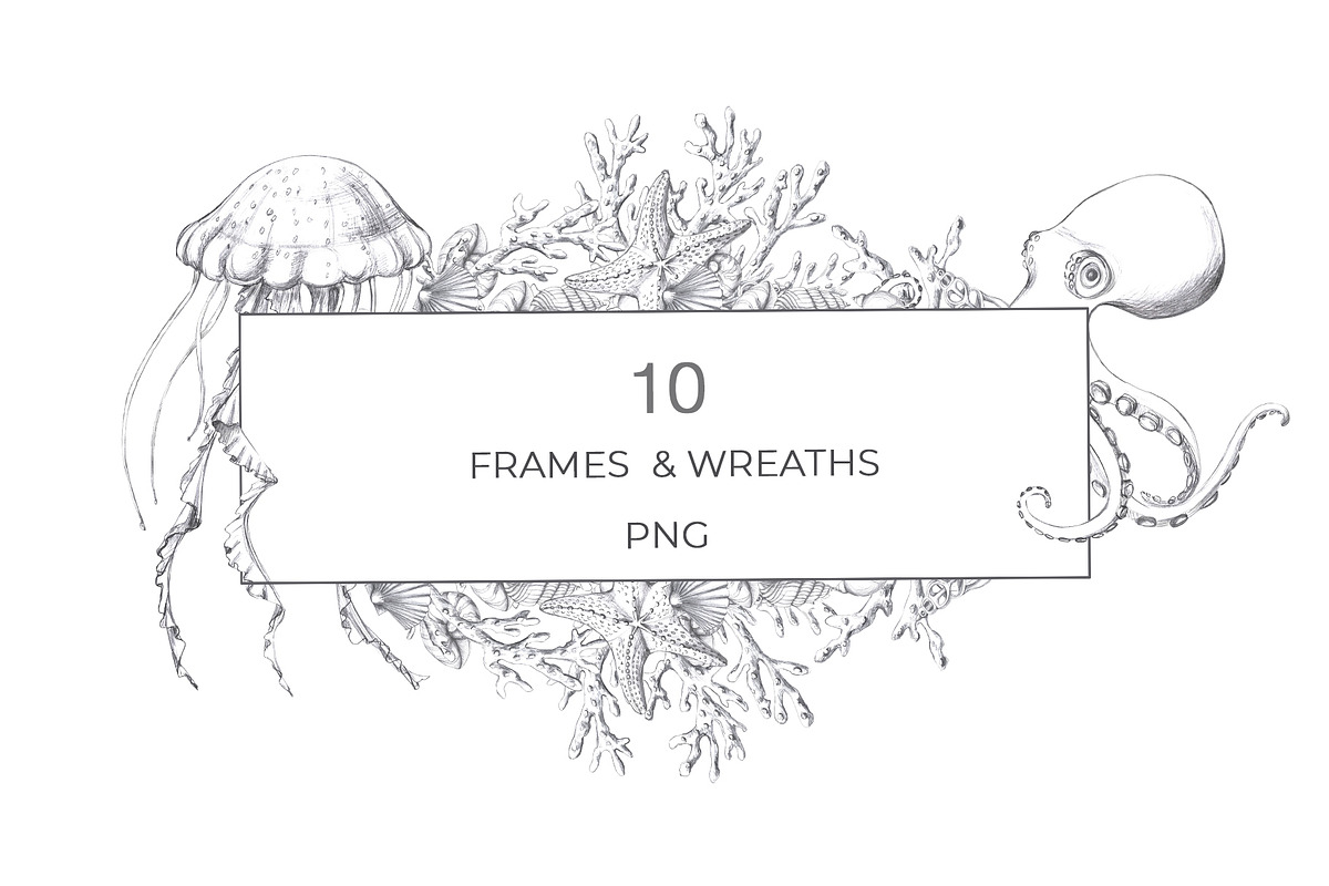 Underwater world, pencil graphics, an Animal Illustration by SvetLana (Photo 6 of 15)