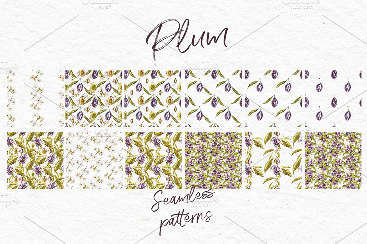 Plum in botanical style, a Food Illustration by Ann Astro (Photo 4 of 11)