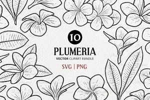 Plumeria Flower Vector Line Art Set