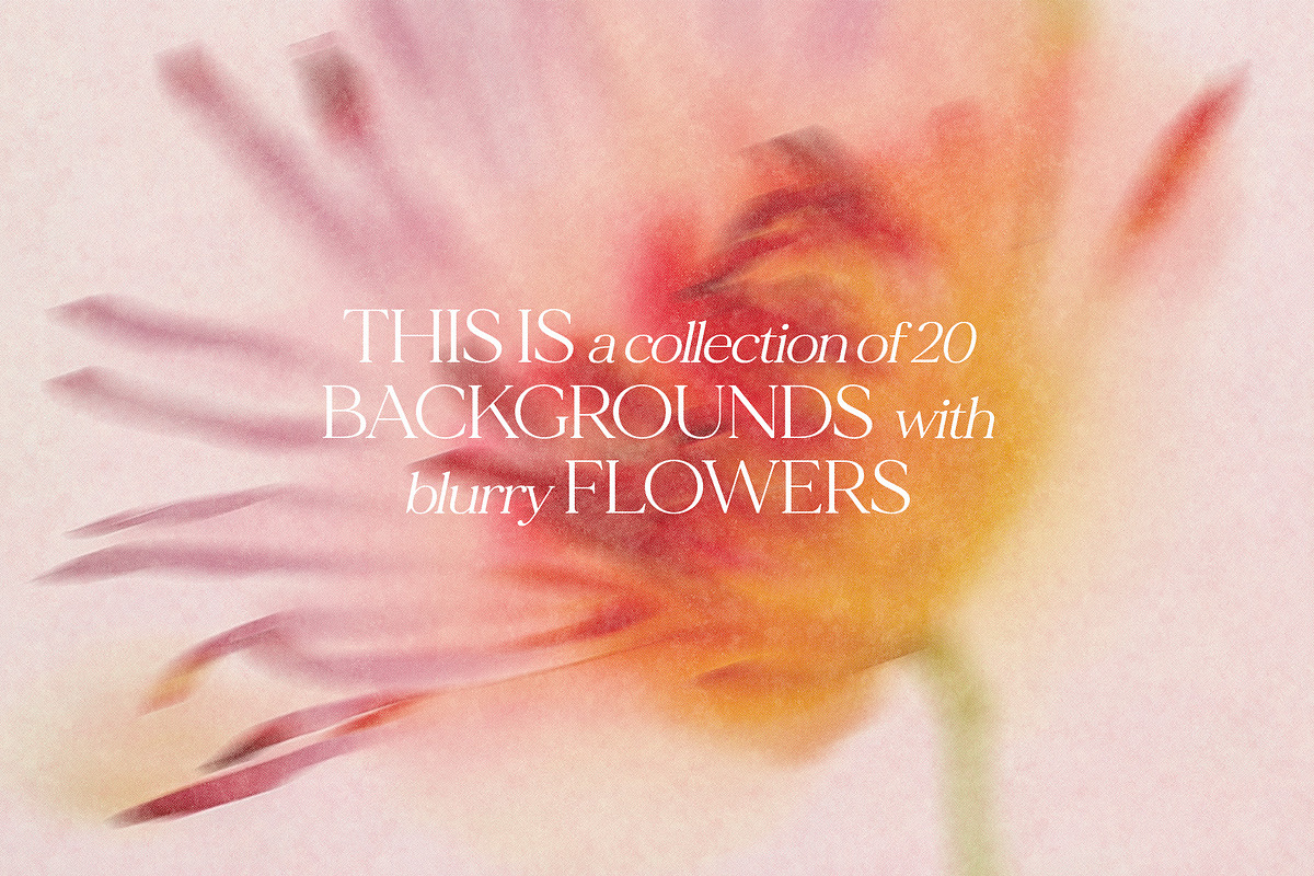 The Blurry Flowers, a Background Graphic by NKate (Photo 2 of 14)