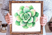 Watercolor Succulent Clipart, an Illustration by SinaCreation (Thumbnail 6 of 7)