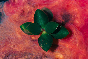 Plant ink swirl smoke flow blur water fog green, a Background Photo by Photo Drive Studio