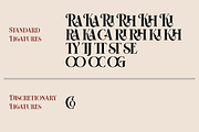 HST - Vermiga del Rose, a Serif Font by ilhamtaro (Thumbnail 9 of 10)