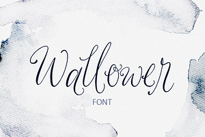 Wallower Script Font