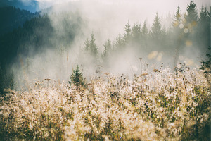 Foggy morning landscape, a Nature Photo by Nature and travel