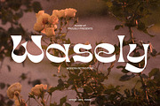 Wasely Modern Classic Font, a Serif Font by Muntab_Art (Thumbnail 1 of 11)