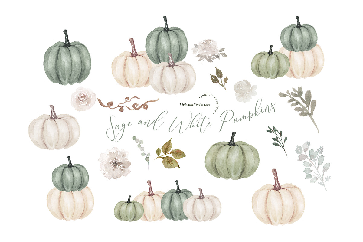 Sage and White Pumpkins Clipart, an Illustration by Sunflower Day Love (Photo 3 of 4)