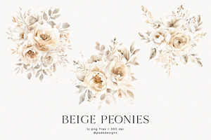 Beige Peonies