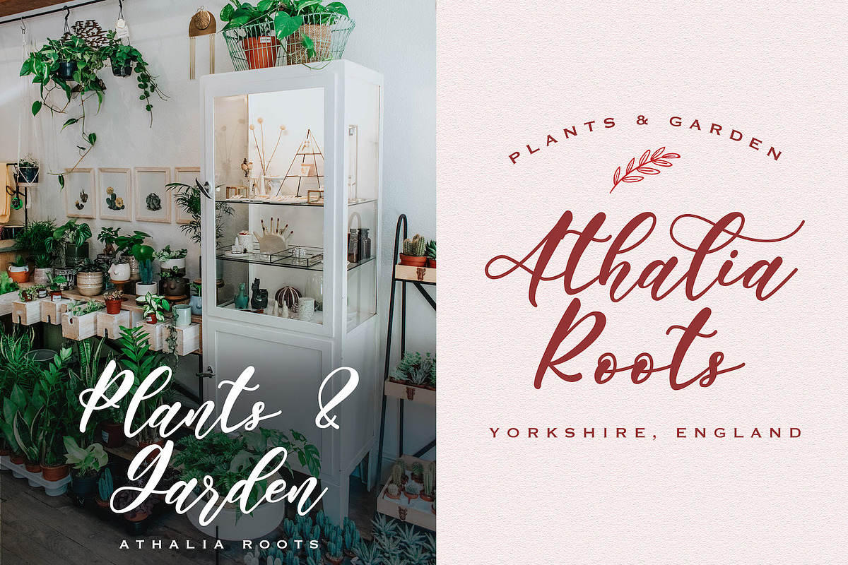 Angelina Rahmy - Modern Script Font, a Script Font by StringLabs (Photo 9 of 12)