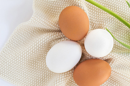 Eggs and white tulip containing food, easter, and celebration