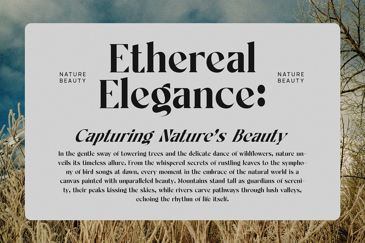 Cityhall History Family Serif Font, a Serif Font by Graphicxell (Photo 3 of 8)
