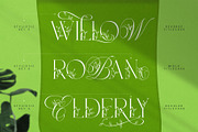 Narony Natural Typeface, a Sans Serif Font by alit design (Thumbnail 4 of 20)