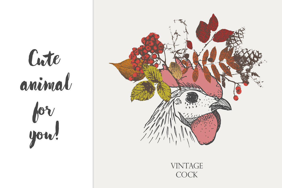 vintage rooster, an Object Graphic by Danya